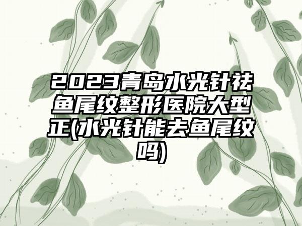 2023青岛水光针祛鱼尾纹整形医院大型正(水光针能去鱼尾纹吗)