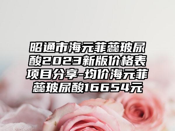 昭通市海元菲蕊玻尿酸2023新版价格表项目分享-均价海元菲蕊玻尿酸16654元