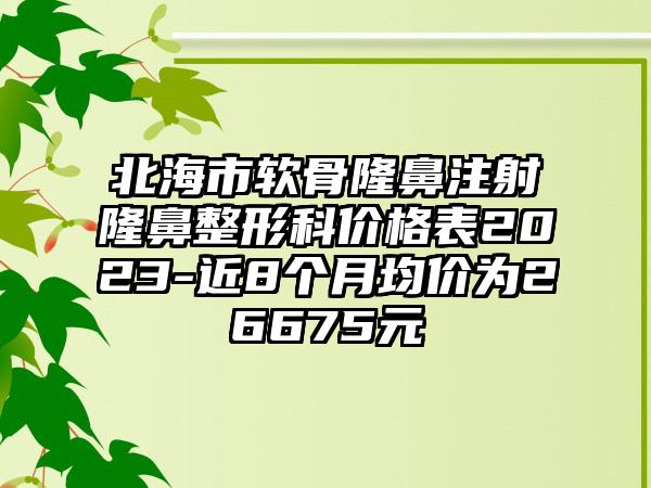 北海市软骨隆鼻注射隆鼻整形科价格表2023-近8个月均价为26675元