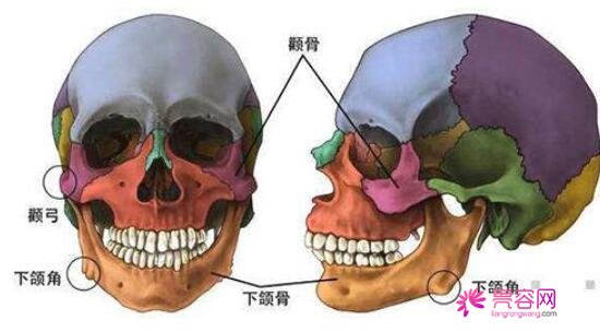 祁佐良做下颌角手术果怎么样？内含真实案例恢复全过程【小v脸】