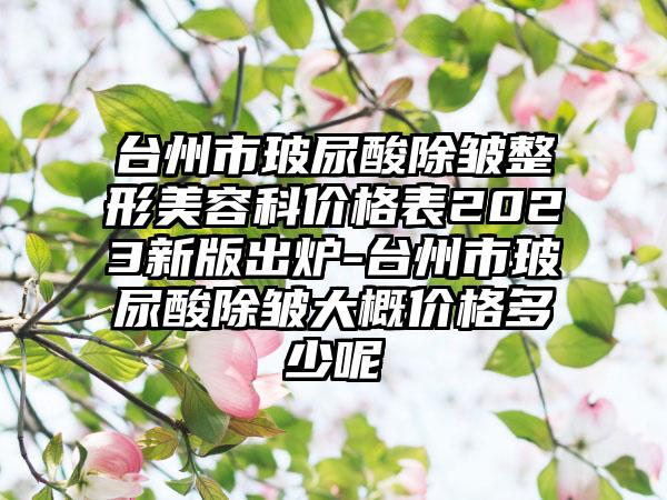 台州市玻尿酸除皱整形美容科价格表2023新版出炉-台州市玻尿酸除皱大概价格多少呢