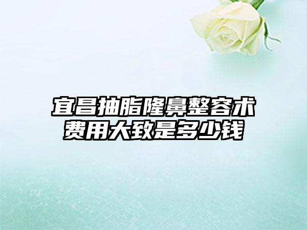 宜昌抽脂隆鼻整容术费用大致是多少钱