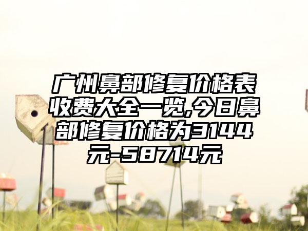 广州鼻部修复价格表收费大全一览,今日鼻部修复价格为3144元-58714元