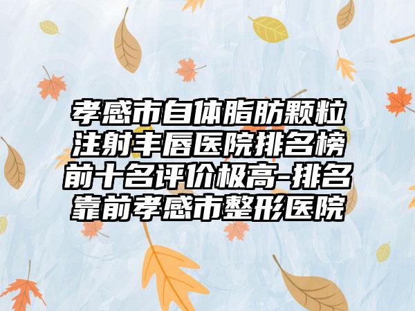 孝感市自体脂肪颗粒注射丰唇医院排名榜前十名评价极高-排名靠前孝感市整形医院