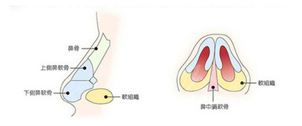 鼻子做耳软骨吸收率15%左右,可以长久维持不会三年全部吸收掉哦