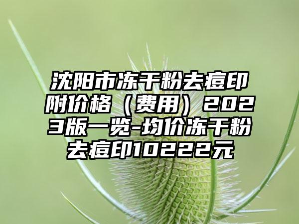 沈阳市冻干粉去痘印附价格（费用）2023版一览-均价冻干粉去痘印10222元