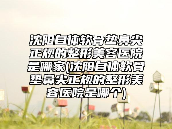 沈阳自体软骨垫鼻尖正规的整形美容医院是哪家(沈阳自体软骨垫鼻尖正规的整形美容医院是哪个)