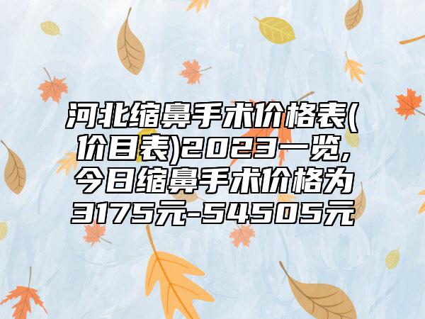 河北缩鼻手术价格表(价目表)2023一览,今日缩鼻手术价格为3175元-54505元