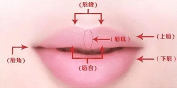 唇部整形干货解析!嘴唇变厚变薄这些点你要记住。